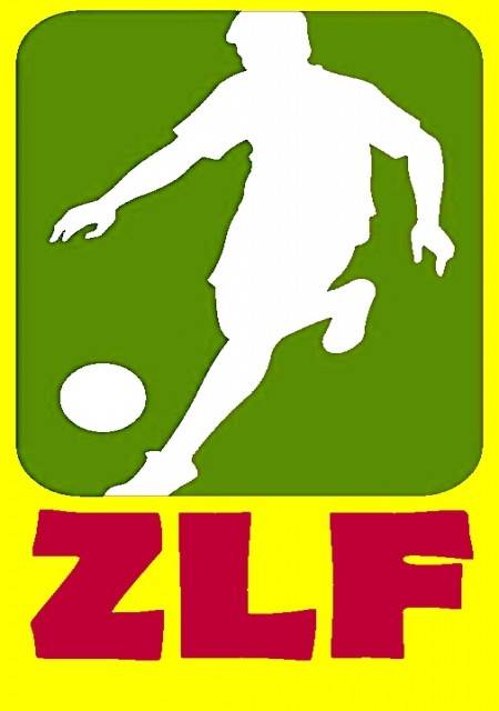 Zdjęcie: Zawierciańska Liga Futsalu 2016 - 17