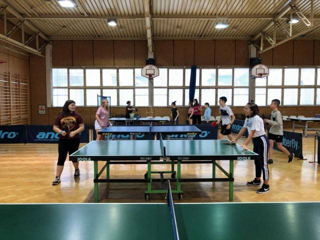 Zdjęcie: Zajęcia tenisa stołowego OSiR dla uczniów Szkoły ...